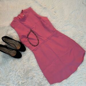 TCEC Sleeveless Pink Mini Dress Women’s Small – Lined, Hidden Back Zipper